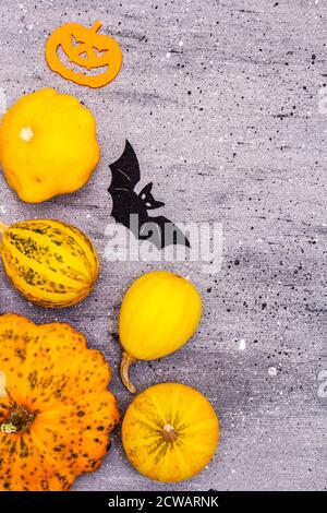 Verschiedene kleine Kürbisse und Halloween-Symbole - Fledermaus, Geist, Hexenhut und Jack o Laterne aus Filz. Grauer Stein Beton Hintergrund, Draufsicht Stockfoto