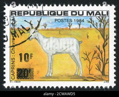 MALI UM 1984: Briefmarke gedruckt von Mali, zeigt Sahel Goat, um 1984 Stockfoto