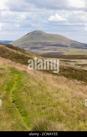 An den Hängen von West Lomond mit Blick auf East Lomond, Fife, Schottland. Stockfoto