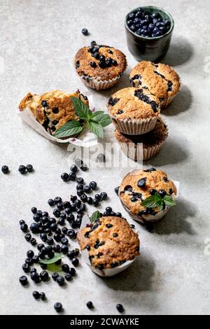 Hausgemachte Blaubeer-Muffins in Papier Cupcake Halter von frischen Beeren und Minzblättern auf hellgrauem Hintergrund dekoriert. Stockfoto