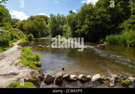 Wandern entlang des Flusses Nadder in der Nähe von Churchfields in Salisbury, Wiltshire. Stockfoto