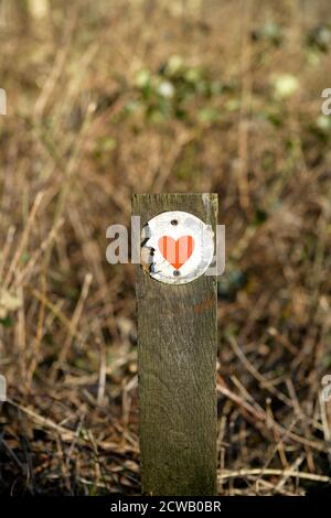 Parc Cwm Darran, ein friedlicher Landpark, der im Daran Valley, zwei Meilen nördlich von Bargoed, versteckt liegt. Stockfoto