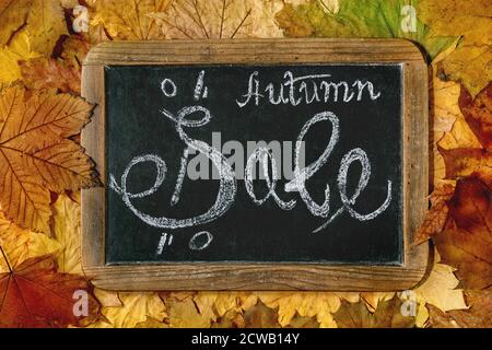 Herbstangebot. Vintage Kreidetafel mit handgeschriebenem Schriftzug Sale über Vielfalt an bunten Herbstblättern. Flach liegend. Stockfoto
