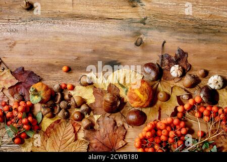 Herbst Saison Komposition mit gelben Ahornblättern, Ebereschen, Kastanien und dekorativen Kürbissen auf Holzstruktur Hintergrund. Flache Lay, Stockfoto