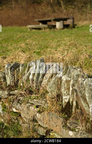 Parc Cwm Darran, ein friedlicher Landpark, der im Daran Valley, zwei Meilen nördlich von Bargoed, versteckt liegt. Stockfoto