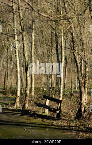 Parc Cwm Darran, ein friedlicher Landpark, der im Daran Valley, zwei Meilen nördlich von Bargoed, versteckt liegt. Stockfoto