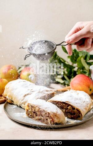 Hausgemachter klassischer Apfelstrudel in Scheiben geschnitten, bestreut mit Puderzucker aus dem Sieb in der Hand, auf Keramikplatte mit frischen Äpfeln, grünen Blättern und Zimt stic Stockfoto