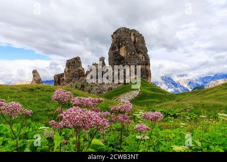 Alpine Landschaft in den hohen Bergen, mit Blumen im Vordergrund und die berühmten Dolomitenfelsen der Cinque Torri im Hintergrund. Stockfoto