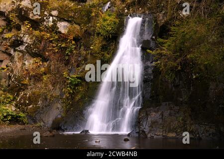 Romantischer Wasserfall im Wald. Stockfoto