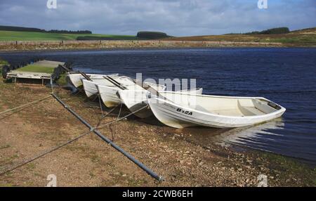 Ruderboote vertäuten am nördlichen Ufer des Wasserreservoirs Watch in der Nähe von Longformacus, Berwickshire, Scottish Borders, Großbritannien. Stockfoto