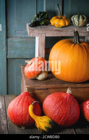Auswahl an verschiedenen essbaren und dekorative Kürbisse auf hölzerne Truhe über hölzerne Hintergrund. Stockfoto