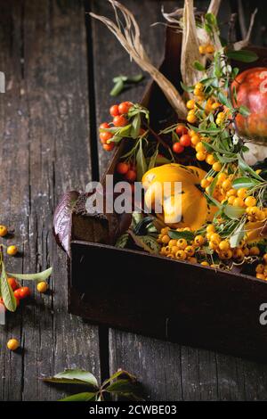 Auswahl an verschiedenen essbaren und dekorative Kürbisse und Herbst Beeren in Holzkiste über hölzerne Hintergrund. Stockfoto