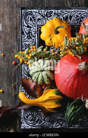 Auswahl an verschiedenen essbaren und dekorative Kürbisse und Herbst Beeren in schwarz dekorative Schale über Holzoberfläche. Ansicht von oben Stockfoto
