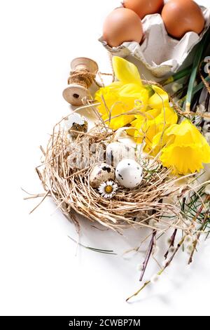 Osterdekoration mit Wachteleiern im Nest mit Narzissen Blumen Und Weidenzweige auf weißem Hintergrund Stockfoto