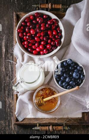 Offenes Glas mit flüssigem Honig mit Honigwabe und Honigtauchmaschine innen, Glaskrug mit Milch, Preiselbeeren und Heidelbeeren auf Vintage-Tablett über altem Holz Stockfoto