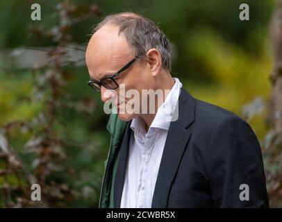 London, Großbritannien. September 2020. Dominic Cummings, Sonderberater des Premierministers kommt in Downing Street London an Kredit: Ian Davidson/Alamy Live News Stockfoto