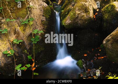 Kaskade im Wald. Kühles und frisches Wasser eines Waldstroms fließt über grüne moosige Felsen. Wellness- und Waldbadkonzept. Stockfoto