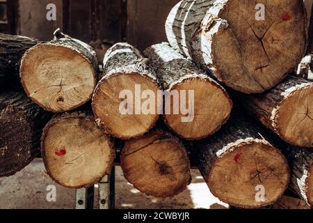Holz natürliche Schnittholz als Hintergrund, Draufsicht, flache Lage Stockfoto