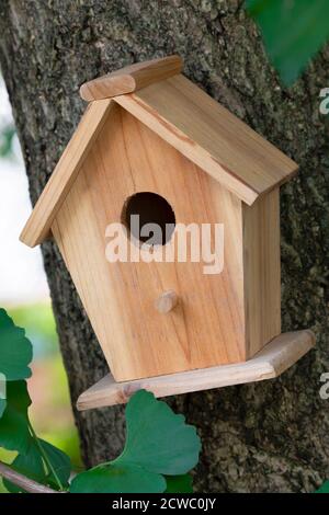 Ein schönes natürliches Vogelhaus, das im Freien in einem Ginkgo hängt Baum im Garten Stockfoto