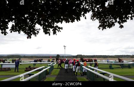 Jockey's betritt den Paradering vor dem Read Donald McCain?s Blog bei Betsafe Handicap Chase auf der Bangor Racecourse, Wrexham. Stockfoto