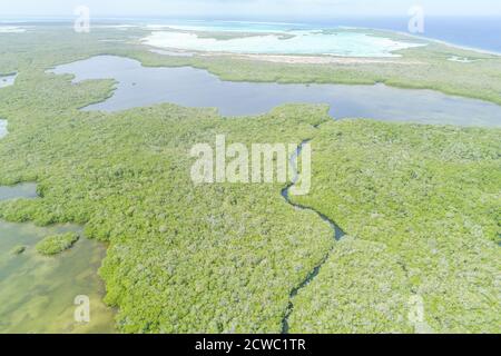 Luftaufnahme des Flusses im Mangrovenwald auf der Karibikinsel In Los Roques Venezuela Stockfoto