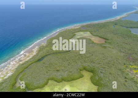 Luftaufnahme des Flusses im Mangrovenwald auf der Karibikinsel In Los Roques Venezuela Stockfoto