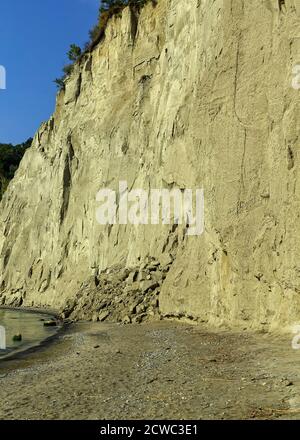 Scarborough Bluffs ist ein 300 Fuß hohe Böschung am Ufer des Lake Ontario in Toronto Ontario Kanada. Stockfoto