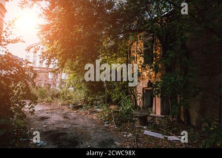 Alte verlassene überwuchert Häuser in Geisterstadt Stockfoto