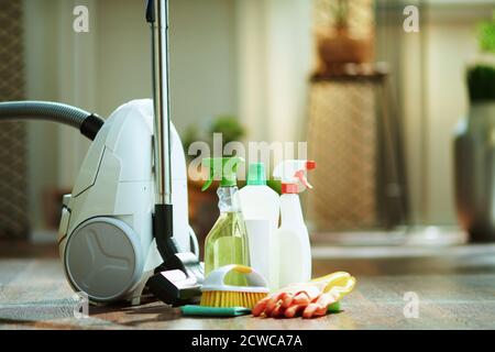 Staubsauger, Reinigungsflaschen, Gummihandschuhe, Bürste und Reinigungstuch auf dem Boden im modernen Haus. Stockfoto