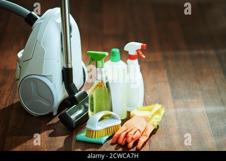 Staubsauger, Reinigungsflaschen, Gummihandschuhe, Bürste und Reinigungstuch auf dem Boden. Stockfoto