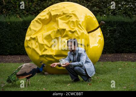 London, Großbritannien. 29. September 2020. Ein Besucher füttert einen Pfau vor "The Earth of Majesty, This Seat of Mars" von Barnaby Barford, der im Holland Park, West London, als Teil des Public Art Trail der Kensington and Chelsea Art Week installiert wurde. Diese sind weitere temporäre Wahrzeichen wurden in acht Zonen des Bezirks installiert, die Royal Borough of Kensington und Chelsea verbinden und bieten einen Wanderweg für die Öffentlichkeit zu genießen. Die Veranstaltung läuft vom 1. Oktober bis zum 11. Oktober 2020. Kredit: Stephen Chung / Alamy Live Nachrichten Stockfoto