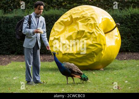 London, Großbritannien. 29. September 2020. Ein Besucher füttert einen Pfau vor "The Earth of Majesty, This Seat of Mars" von Barnaby Barford, der im Holland Park, West London, als Teil des Public Art Trail der Kensington and Chelsea Art Week installiert wurde. Diese sind weitere temporäre Wahrzeichen wurden in acht Zonen des Bezirks installiert, die Royal Borough of Kensington und Chelsea verbinden und bieten einen Wanderweg für die Öffentlichkeit zu genießen. Die Veranstaltung läuft vom 1. Oktober bis zum 11. Oktober 2020. Kredit: Stephen Chung / Alamy Live Nachrichten Stockfoto