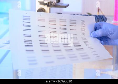 Wissenschaftler analizing DNA-Sequenz im modernen Labor Stockfoto