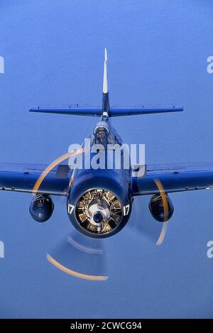 Grumman F4F/FM2 Wildcat WWII Navy-Marine Fighter. Stockfoto