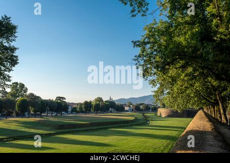 Lucca Wand Stadtbefestigung im Frühjahr, Toskana, Italien Stockfoto