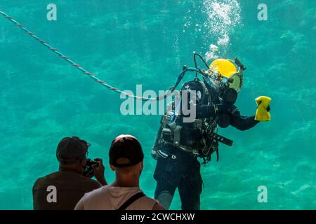 Besucher beobachten Oberfläche versorgte Taucher mit Nabelreinigungsglas auf ausgestattet Im Inneren des riesigen Wassertanks / Aquarium im Zoo / zoologischer Garten Stockfoto