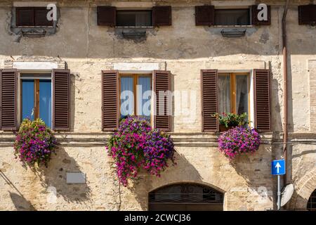 Vintage-Fenster mit offenen Fensterläden aus Holz und frische Blumen Stockfoto