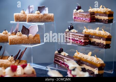 Ausstellung von Werken Haute süße Küche von Konditor, Schokolade Kuchen mit frischen Früchten und Beeren Stockfoto