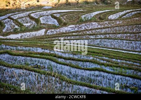 Leeres überflutetes und terrassenförmiges Reisfeld in der Nähe von Sa Pa vietnam Stockfoto