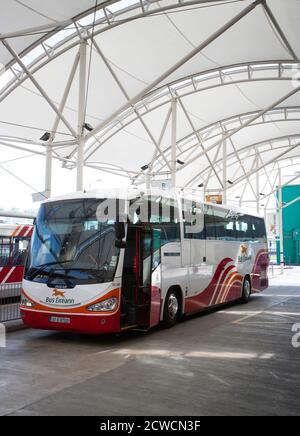 Bus Eireann Schnellstraße Busse Stockfoto