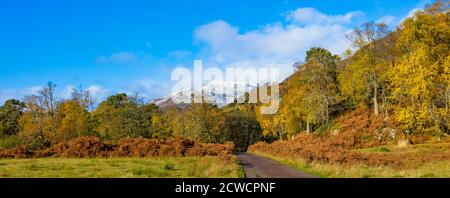 Ein Panoramablick auf Glen Strathfarrar in den schottischen Highlands, im Herbst oder Herbst mit Silberbirke, goldenen Bracken und schneebedeckten Berg Stockfoto