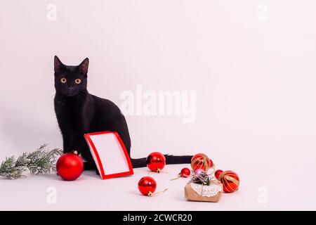 Schwarze Katze mit Bilderrahmen, weihnachtskugeln und weihnachtsgeschenk auf weißem Hintergrund Stockfoto