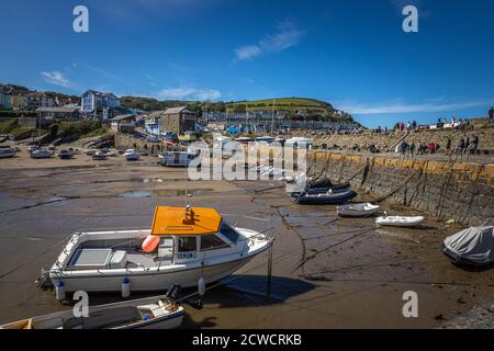 New Quay, Wales Stockfoto