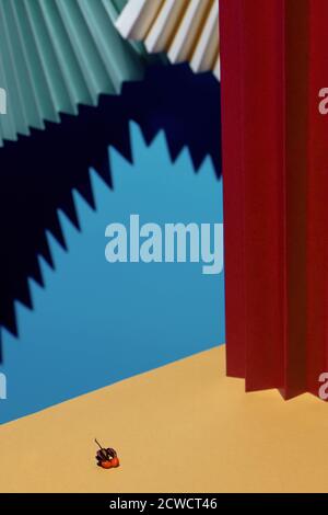 Moderne mehrfarbige Komposition aus Ventilatoren, Schatten und Pappe. Stilvolles geometrisches Konzept Stockfoto