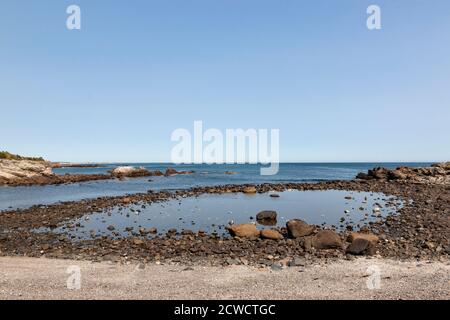 Gezeitenbecken oder Felsenbecken bei Ebbe in Ogunquit, Maine. Stockfoto