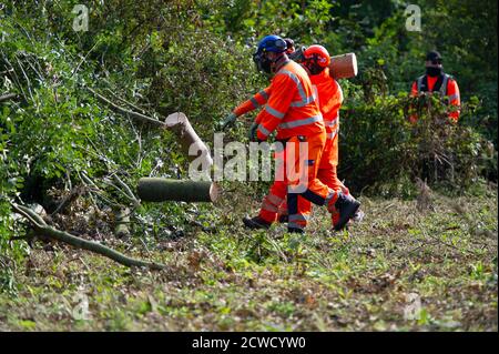 Denham, Großbritannien. September 2020. Bodenkontrollbaumschneider werfen die Baumstämme weg, die sie heute für HS2 im Denham Country Park abschneiden, in einem Gebiet, das die HS2 Rebellion-Baumschützer als öffentlich und außerhalb des für HS2 zugelassenen Bereichs anzeigen. Etwa 28 NET Enforcement Agents und HS2 Security Guards hielten die Baumschützer davon ab, die Baumzerstörung zu beobachten. Die HS2-Verbindung von London nach Birmingham gefährdet 693 Wildtierstätten, 108 uralte Waldgebiete und 33 Stätten von besonderem wissenschaftlichem Interesse. Quelle: Maureen McLean/Alamy Live News Stockfoto