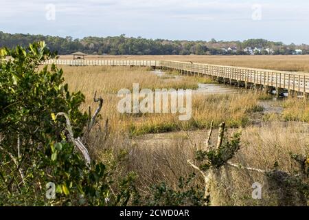 South Carolina Low Country. Boardwalk durch das Carolina Low Country im Huntington Beach State Park zwischen Myrtle Beach und Charleston, SC. Stockfoto