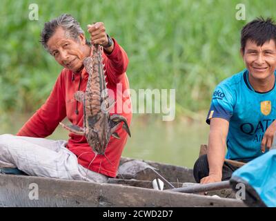 Fischer zeigt Wels gefangen durch Netz auf Oxbow See Atun Poza, Iquitos, Peru. Stockfoto