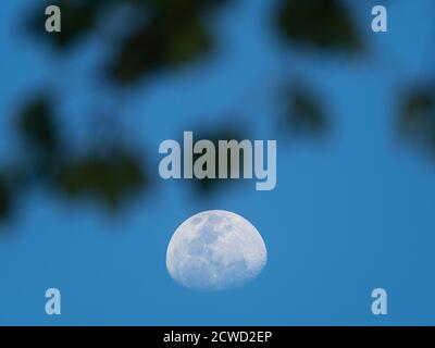 Der fast Vollmond, der über dem Fluss Yarapa aufsteigt, Nauta, Peru. Stockfoto