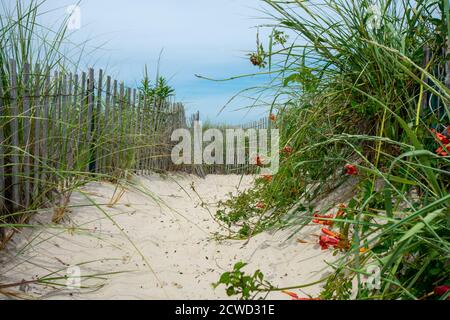 Ein Sandweg am Strand mit einem alten hölzernen Zaun und überwuchert Pflanzen auf jeder Seite Stockfoto